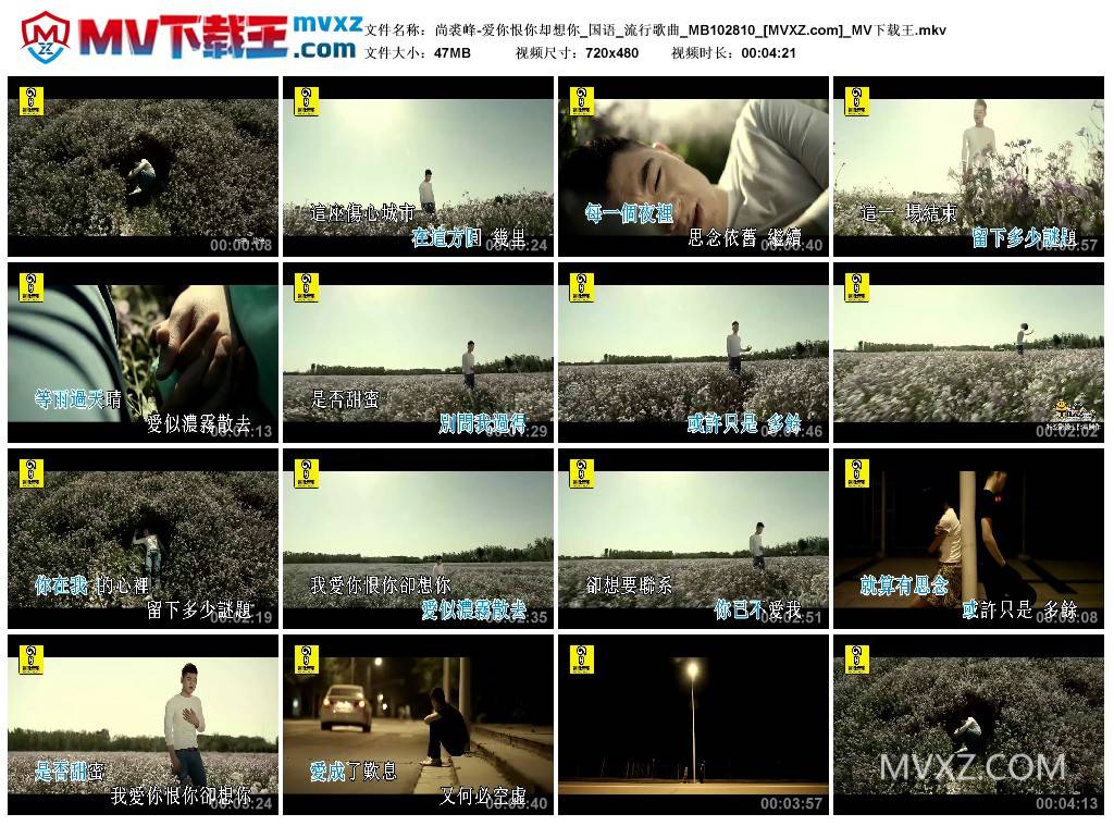 尚裘峰-爱你恨你却想你_国语_流行歌曲_MB102810